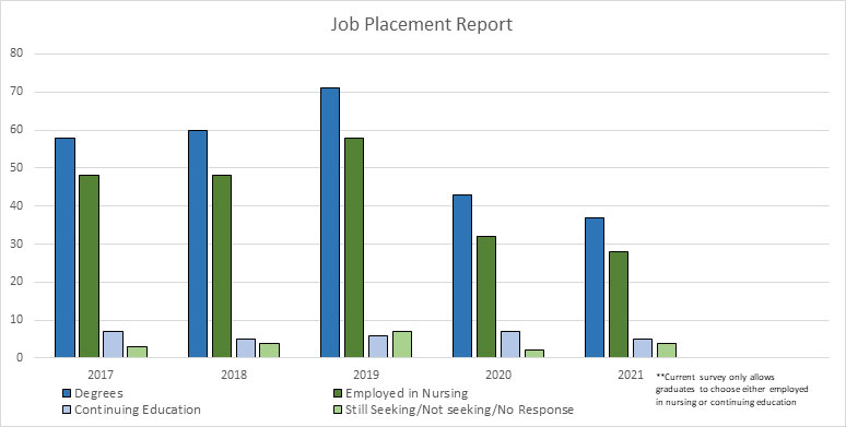 Job Placement Status